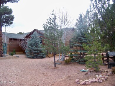 971  N Needles Creek Dr Front Diagonal