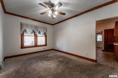 328 N Mclean St, Lincoln, IL 62656 - photo 7