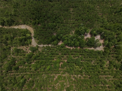 0 Cr 235 unit MFRGC531321, Newberry, FL 32669 - photo 2