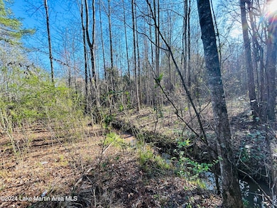 2.64+/- Acres Hwy 280, Sylacauga, AL 35150 - photo 7