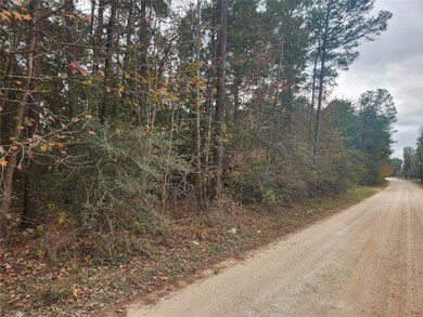 Lot 1 Yupon Branch Ln, Plantersville, TX 77363 - photo 4