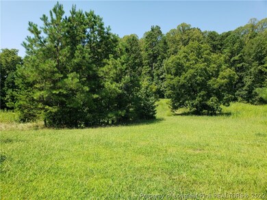 593 Howard Gilliland Rd, Siler City, NC 27344 - photo 5