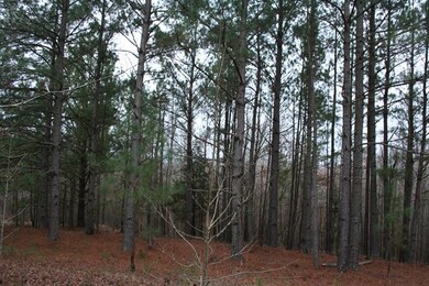 00 Highway 378, Lincolnton, GA 30817 - photo 5