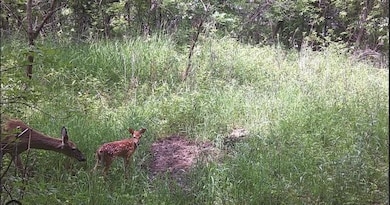 B1 L9 181st Ave NW, Oak Grove, MN 55303 - photo 2