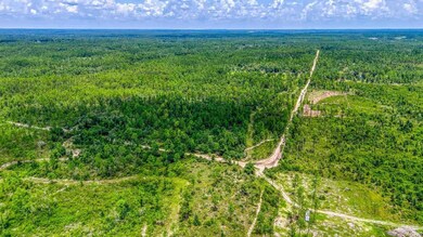 0 Timbercrest Rd unit 649777, Fountain, FL 32438 - photo 6