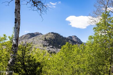 4914 N Hidden Way, Midway, UT 84049 - photo 5