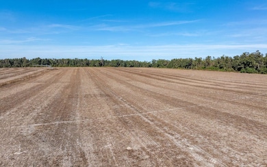 80AC NW 44th St, Jennings, FL 32053 - photo 3