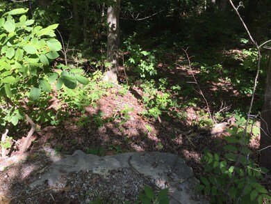 Lt 39-42 Chestnut St, Burnside, KY 42519 - photo 5