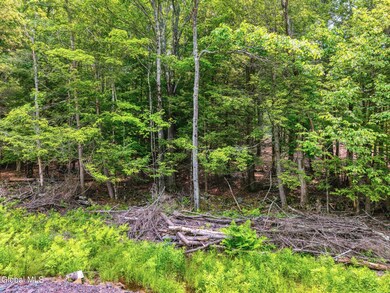 TBD Boulder Brook Rd unit Lot 14, Windham, NY 12496 - photo 5