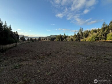 92 Dionne Ln, Naselle, WA 98638 - photo 5