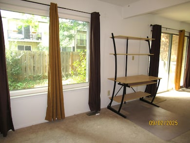 3252 Bolgos Cir, Ann Arbor, MI 48105 - photo 4