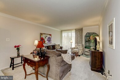 3123 Patrick Henry Dr unit 322, Falls Church, VA 22044 - photo 7