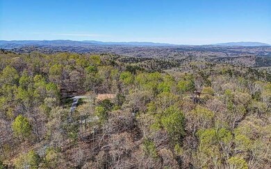 1502 Azure Ln, Ranger, GA 30734 - photo 4