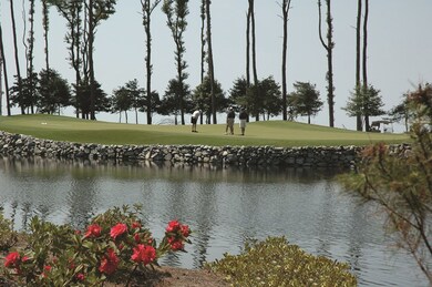 3rd Hole Palmer Golf Course