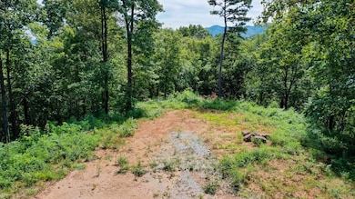 6 Black Rock Trail, Andrews, NC 28901 - photo 4