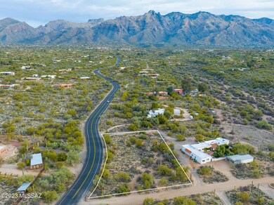 Vientos_Lot Lines_Looking North