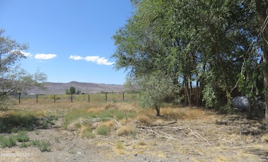 5 Pebble Beach Ln, Yerington, NV 89447 - photo 4