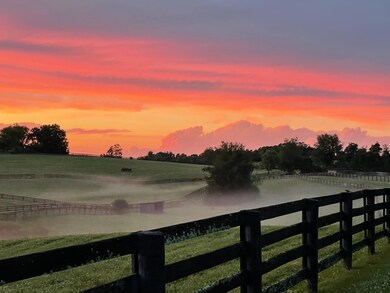 2065 Oregon Rd, Versailles, KY 40383 - photo 3