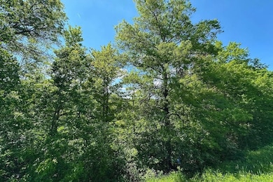 0 Golf Cir unit 25696193, Garrison, MN 56450 - photo 3