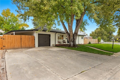 10784 Allendale Dr, Arvada, CO 80004 - photo 6