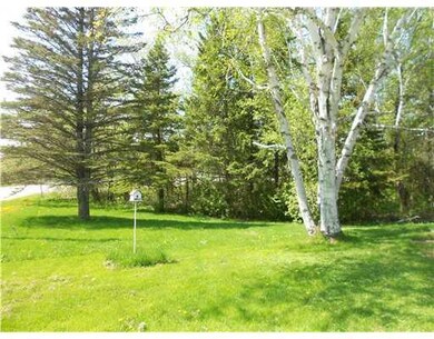 Yard/Garden.
