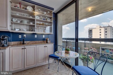 Alexandria House unit 1308, Alexandria, VA 22314 - photo 7