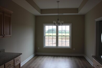 4119 Highway 19 unit Lot 2, Hemlock Alt, Conway, SC 29526 - photo 6