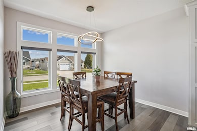 6152 Belle Ct, Davenport, IA 52807 - photo 6