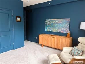 Living area with light carpet