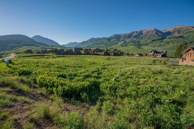 14 Walking Deer Ln, Mt. Crested Butte, CO 81225 - photo 4