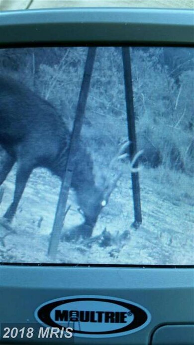 1807 Crocheron Rd, Toddville, MD 21672 - photo 5