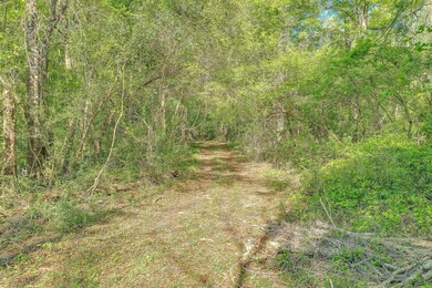 0 McPhaul Rd, Crawfordville, FL 32327 - photo 7