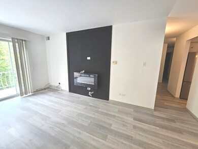 3235 S Manor Dr unit 306, Lansing, IL 60438 - photo 6