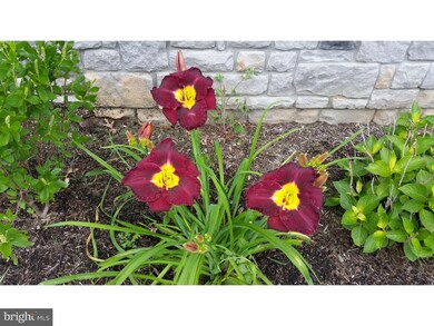 4034 Joshua Rd, Lafayette Hill, PA 19444 - photo 6