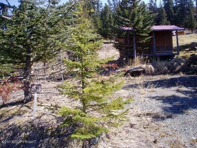 6 Camp site 53