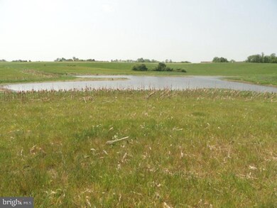 unlisted-address, Earleville, MD 21919 - photo 5