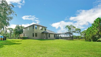 Rear - Backyard