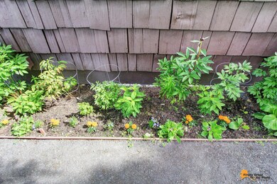 Flowers And Blooms