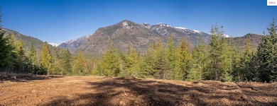 Lot 7 Sled Run Trail, Clark Fork, ID 83811 - photo 2
