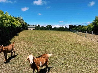 57 Awalau Rd unit A, Haiku, HI 96708 - photo 2