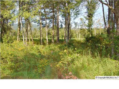 2640 White Elephant Rd, Grant, AL 35747 - photo 3