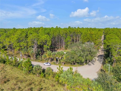 490 S Samsula Dr, New Smyrna Beach, FL 32168 - photo 2