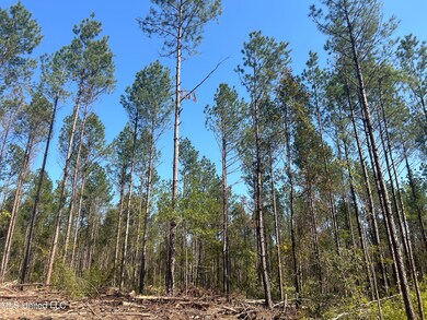 0 Rails Rd, Georgetown, MS 39078 - photo 4