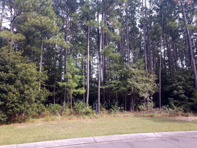 MLS 04 IMG_20181018_145030503