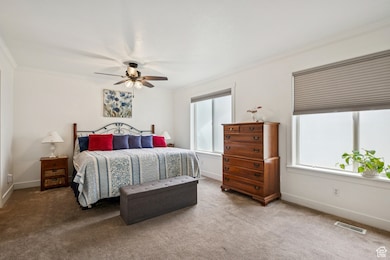 Carpeted bedroom featuring multiple windows, ornamental molding, and ceiling fan