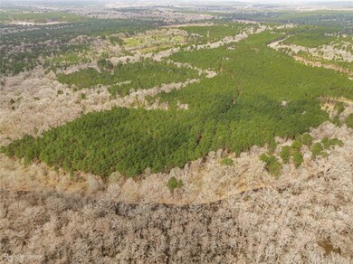 0 Louisiana 157 unit 20232463, Benton, LA 71006 - photo 6