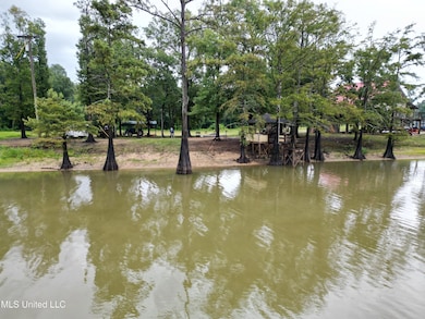 1955 Shoemaker Rd, Yazoo City, MS 39194 - photo 6