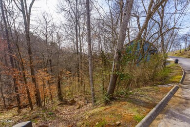 0 Maggie MacK Ln unit 304403, Sevierville, TN 37862 - photo 4