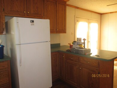 1150 Dog Branch Rd, Prospect, TN 38477 - photo 6