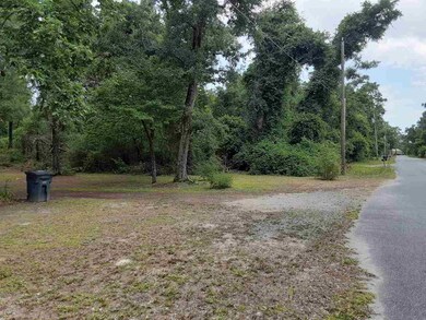 0 Brown Blvd, Crawfordville, FL 32327 - photo 5